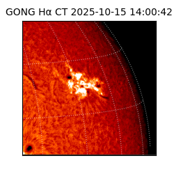 gong - 2025-10-15T14:00:42