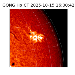 gong - 2025-10-15T16:00:42