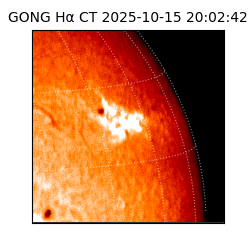 gong - 2025-10-15T20:02:42