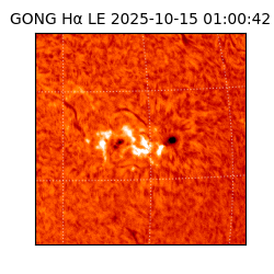 gong - 2025-10-15T01:00:42