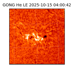 gong - 2025-10-15T04:00:42