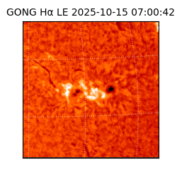 gong - 2025-10-15T07:00:42