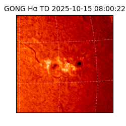 gong - 2025-10-15T08:00:22