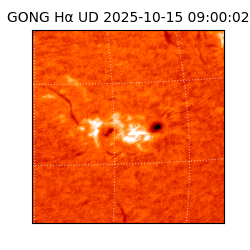 gong - 2025-10-15T09:00:02