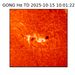 gong - 2025-10-15T10:01:22