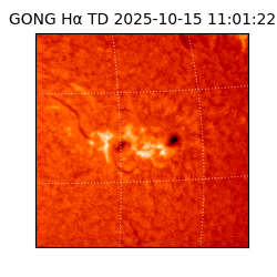 gong - 2025-10-15T11:01:22