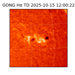 gong - 2025-10-15T12:00:22