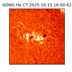 gong - 2025-10-15T16:00:42