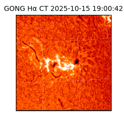 gong - 2025-10-15T19:00:42