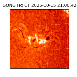 gong - 2025-10-15T21:00:42