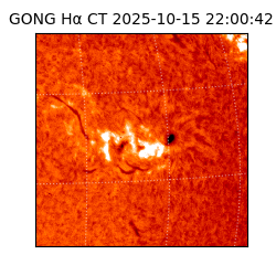 gong - 2025-10-15T22:00:42