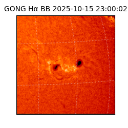 gong - 2025-10-15T23:00:02