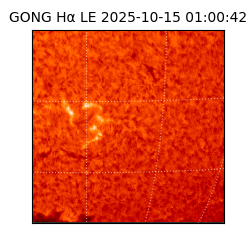 gong - 2025-10-15T01:00:42