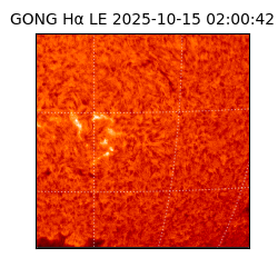 gong - 2025-10-15T02:00:42