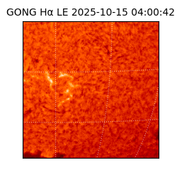 gong - 2025-10-15T04:00:42