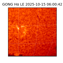 gong - 2025-10-15T06:00:42