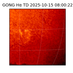 gong - 2025-10-15T08:00:22