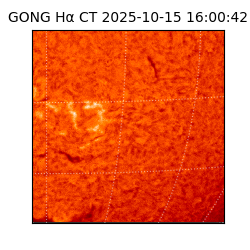 gong - 2025-10-15T16:00:42