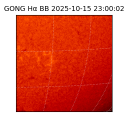 gong - 2025-10-15T23:00:02