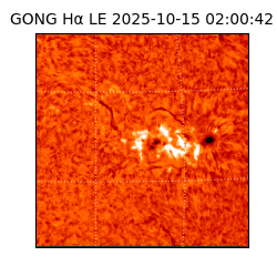 gong - 2025-10-15T02:00:42