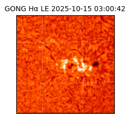gong - 2025-10-15T03:00:42