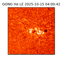 gong - 2025-10-15T04:00:42