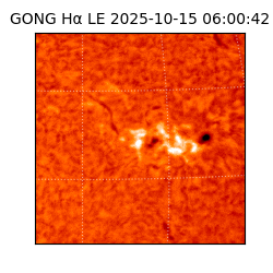 gong - 2025-10-15T06:00:42