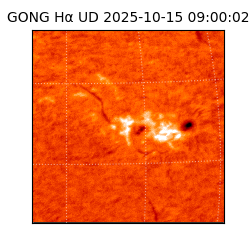 gong - 2025-10-15T09:00:02
