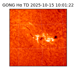 gong - 2025-10-15T10:01:22