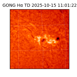 gong - 2025-10-15T11:01:22
