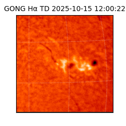 gong - 2025-10-15T12:00:22