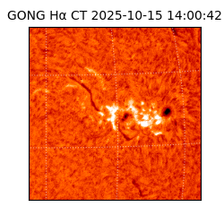 gong - 2025-10-15T14:00:42