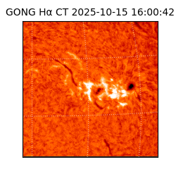 gong - 2025-10-15T16:00:42