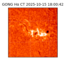 gong - 2025-10-15T18:00:42