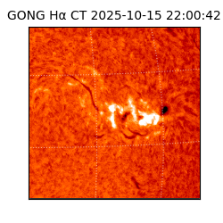 gong - 2025-10-15T22:00:42