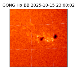 gong - 2025-10-15T23:00:02