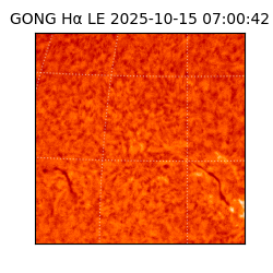 gong - 2025-10-15T07:00:42