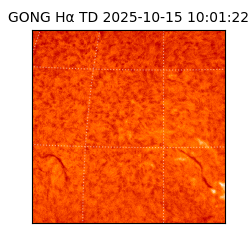 gong - 2025-10-15T10:01:22