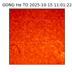 gong - 2025-10-15T11:01:22