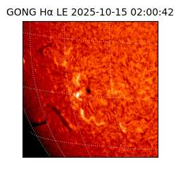 gong - 2025-10-15T02:00:42