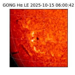 gong - 2025-10-15T06:00:42