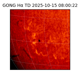 gong - 2025-10-15T08:00:22