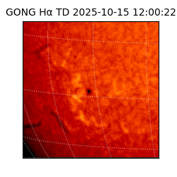 gong - 2025-10-15T12:00:22