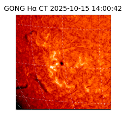 gong - 2025-10-15T14:00:42
