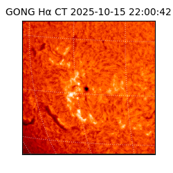 gong - 2025-10-15T22:00:42
