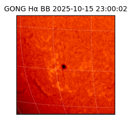gong - 2025-10-15T23:00:02