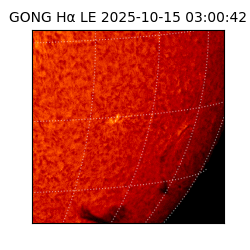 gong - 2025-10-15T03:00:42