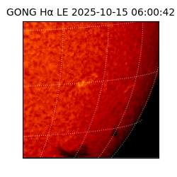 gong - 2025-10-15T06:00:42