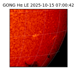 gong - 2025-10-15T07:00:42