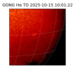 gong - 2025-10-15T10:01:22